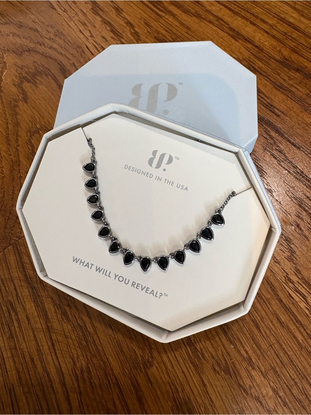 BP Black Onyx Stone Necklace in Silver-Tone